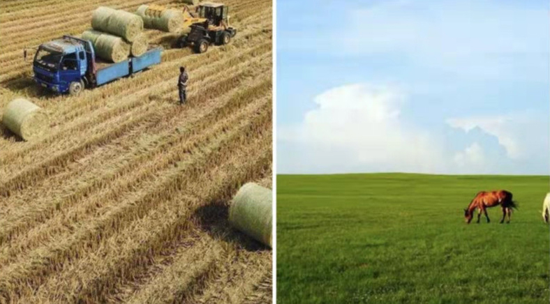 Какво е предимството от използването на Bale Net Wrap?