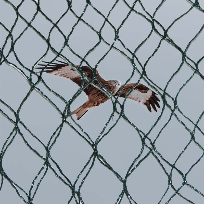 Какви са изборите на материали и предимствата и недостатъците на мрежите за защита от птици?