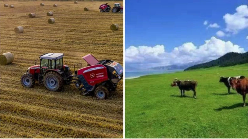 Приложението на мрежата за бали в селскостопанските дейности