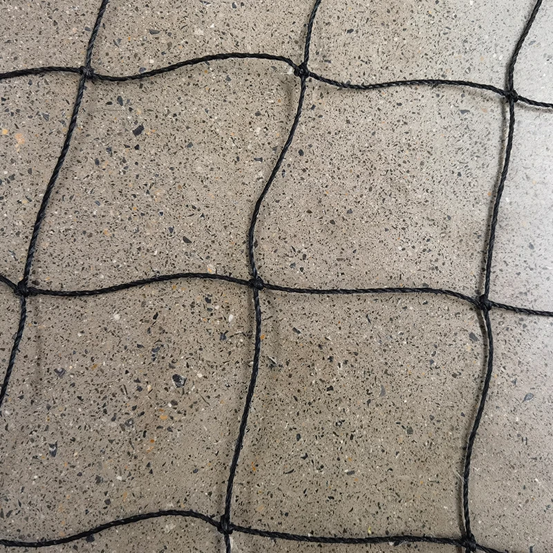 Ролята на мрежите за крикет