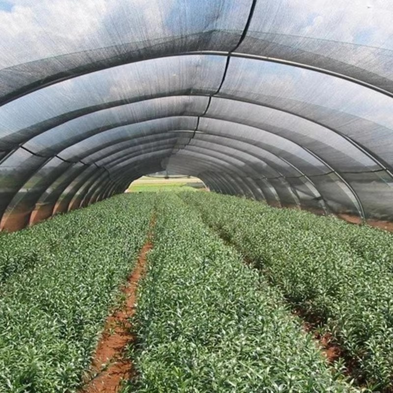 Добър ли е охлаждащият ефект на сенника?