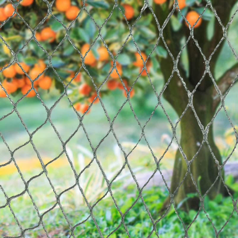 Бариери за животни с мрежа за птици
